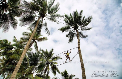Daluwakotuwa Cabaña | Acogedora cabaña independiente amueblada cerca de la playa de Negombo