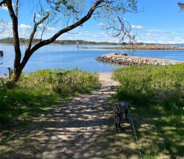 Rygge Casa | Cosy Guest House By The Coastal Path In Larkollen