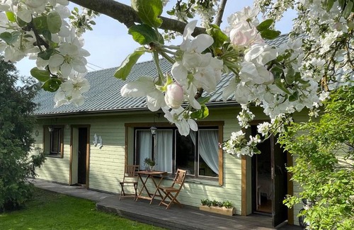 Kuressaare Casa | Cosy guesthouse with sauna and outdoor kitchen