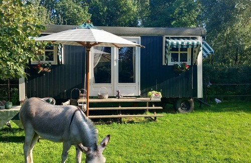 Koudekerke Cabina | Cosy gypsy wagon with private garden near the sea and beach!