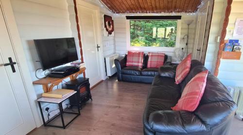 Bronaber Chalet De Esquí | Cosy log cabin in Snowdonia 167