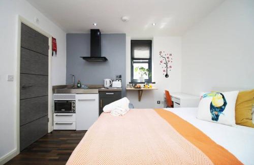 Plasnewydd Apartamento | Cosy, Modern & Comfortable Studio