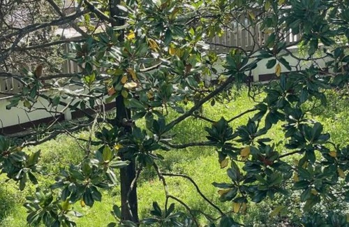 La Courneuve Apartamento | Cosy N'est - Spacious apartment with garden just outside Paris.