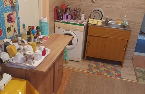 Cluj-Napoca Apartamento | Cosy One Bedroom Appartment with Beautiful Garden