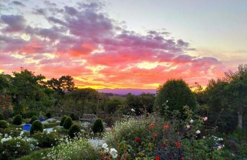 Whakamarama Apartamento | Cosy Orchard Loft - Breakfast included