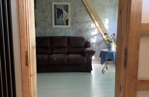 Swiebodzin Casa | Cosy, renovated old house, w/ fireplace,10 min from the lake side. Pet friendly.