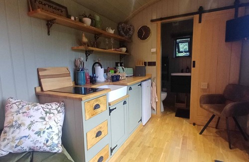Alton Cabina | Cosy Shepherd's Hut with use of Hot Tub and Heated Pool - Double with ensuite