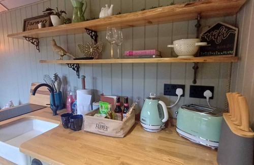 Alton Cabina | Cosy Shepherd's Hut with use of Hot Tub and Heated Pool - Double with ensuite