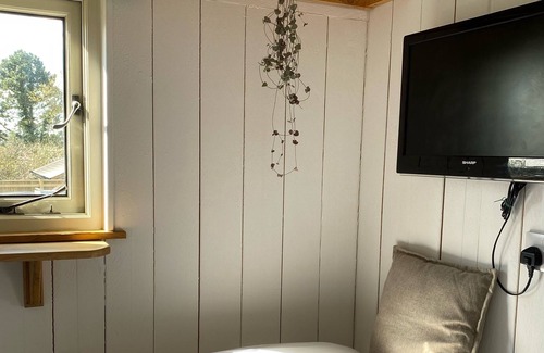 Lifton Cabina | Cosy Shepherds Hut
