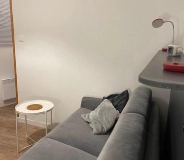 Jean Moulin - Marius Berliet Apartamento | Cosy Studio 16m2