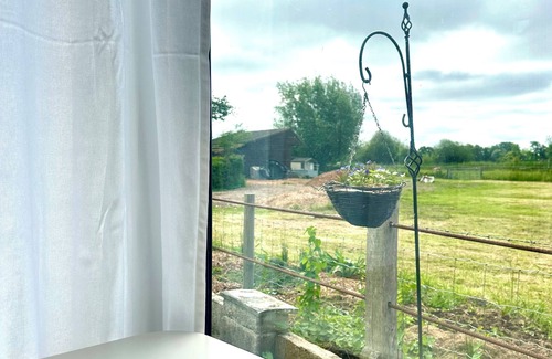 New Forest District Cabina | Cosy Studio with a field view
