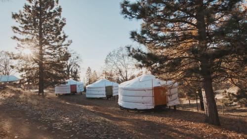 Dunlap Casa | Cosy yurt at a nature retreat in Sequoia N Forest