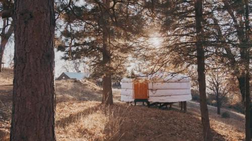 Dunlap Casa | Cosy yurt at a nature retreat in Sequoia N Forest