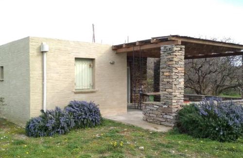 Kea Casa | Cottage amidst vines and Oak Trees