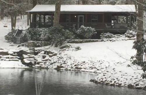 Glenville Cabaña | Cottage at Casuarina Lodge - Luxury, Pet Friendly