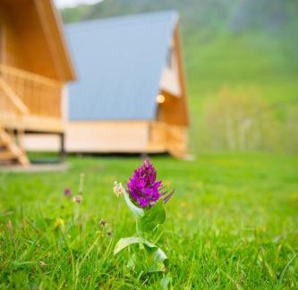Zhibiani Apartamento | Cottage Caucasus