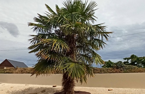 Bannalec Cabaña | estilo de la cabaña del país - independiente - En Paz - 12 kms de playas ancv - Wifi