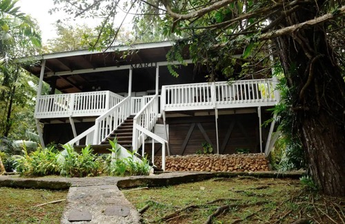 Canovanas Cabaña | Cottage in a 5 acre property w. a creek in the Rain Forest all for yourself!