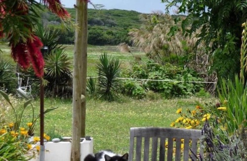 Cavaleiro Cabaña | Cottage in a Horse farm 200m from the beach