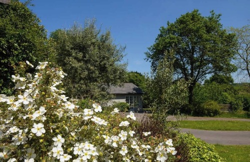 Bridport Cabaña | Cottage In Dorset, Rural Retreat