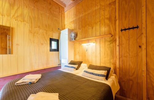 Beilen Casa | Cottage in Dwingelderveld with Scenic Views