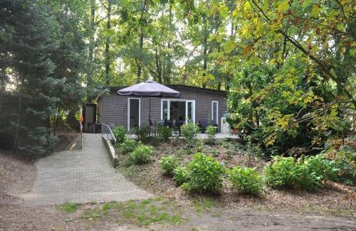 Leende Casa | Cottage in Leenderstrijp near Nature Reserve, cleaning included