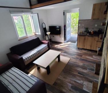 Donje Polje Apartamento | Cottage in nature of Cetinje