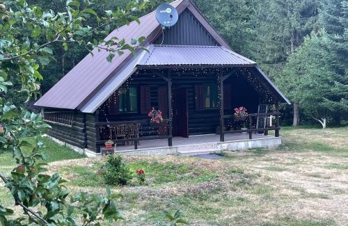 Kolasin Municipality Casa | Cottage in the wild Pješčanica