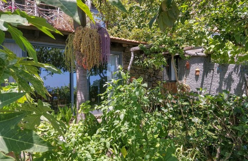 Arco da Calheta Cabaña | Cottage Junior, a green nest with ocean view
