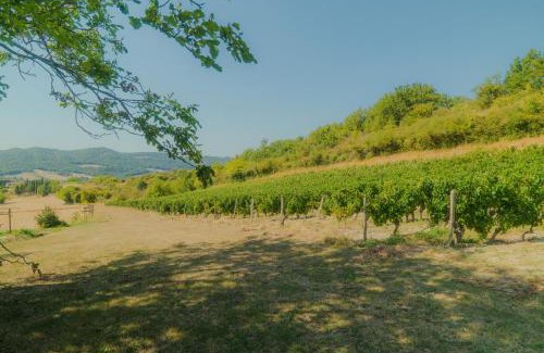 Mirabel-et-Blacons Casa | Cottage Lucien - La Souche Fleurie