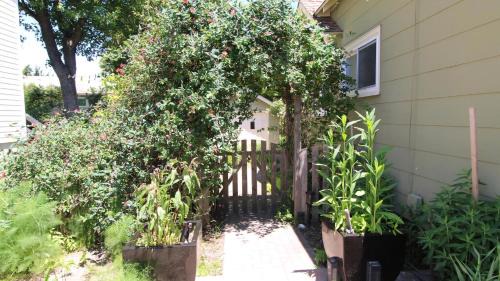 Cape May Point Casa | Cottage On Cambridge