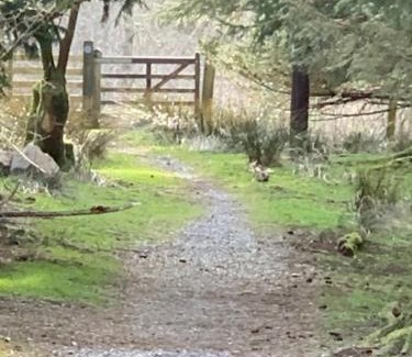Capel-Curig Casa | Cottage Retreat Snowdonia