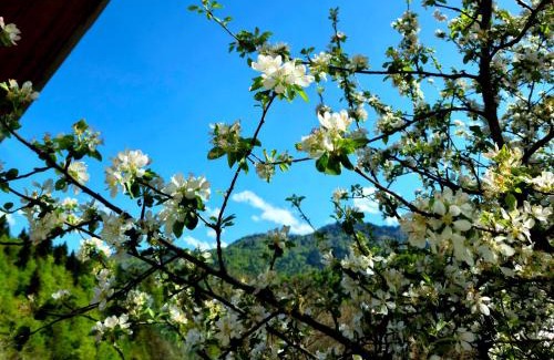 Kimotesubani Apartamento | Cottage Timotea