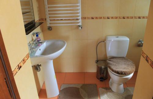 Mykulychyn Casa | Cottage u Yaremy Mykulychyn