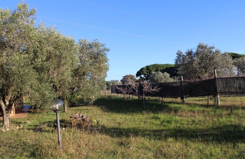 Cecina Casa | Cottage with a great fenced garden in the Tuscan countryside
