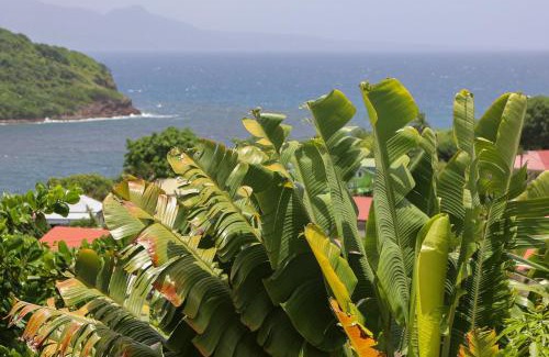 Grand Anse Casa | Cottages Les 3 Rochers - Vue sur mer