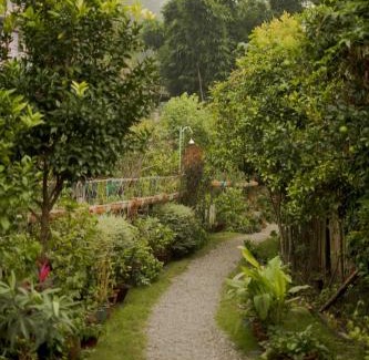 Naukuchiyatal Complejo | Cottages @ Village