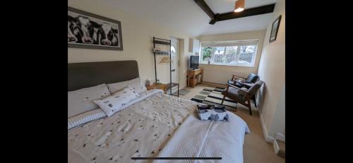 Great Longstone Casa | Counting Sheep