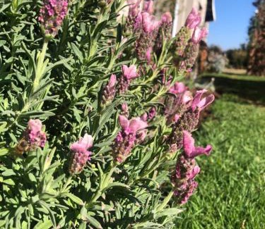 Merrivale Apartamento | Country Escape in Birnamwood