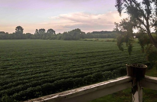 Holland Casa | Campos de campo - Relajante, hogar moderno del país