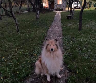 Lohovo Casa | COUNTRY HOUSE