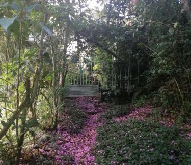 Chulumani Cama Y Desayuno | Country House Chulumani