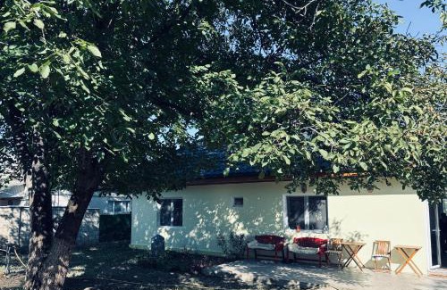 Moldova Casa | Country house in Lozova authentic Moldovan village experience