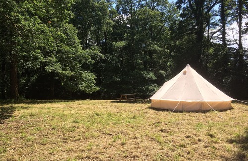 Buckfastleigh Casa | Casa de Campo con Bluebell Madera En El Parque Nacional de Dartmoor