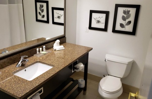 Braden River Hotel | Country Inn & Suites by Radisson, Bradenton-Lakewood Ranch, FL