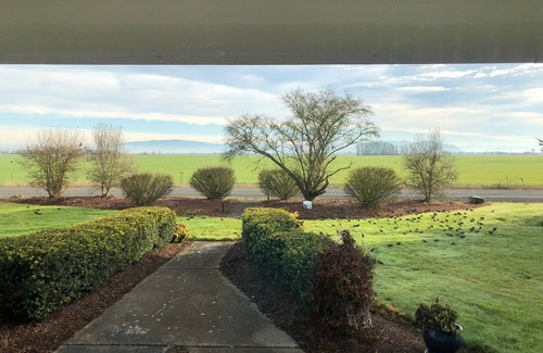 Albany Casa | Vida en el campo en Oregón con águilas y una vista de las montañas de tres hermanas