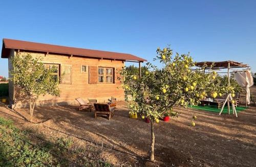 Ain Tizgha Chalet De Esquí | Countryside's Tiny House