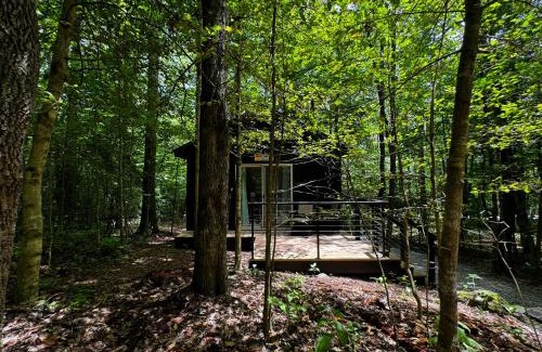 Balsam Grove Otro | Couples Glamping Cabin-Bearly Behaving at Valley Bear Farms Resort