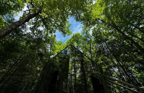 Balsam Grove Casa | Couples Mirror Cabin -Looking Glass at Valley Bear Farms Resort