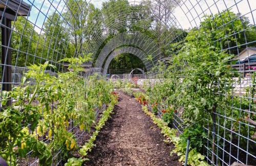 Balsam Grove Otro | Couples Yurt - The Dreamer at Valley Bear Farms Resort